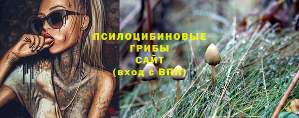 круглые Бородино