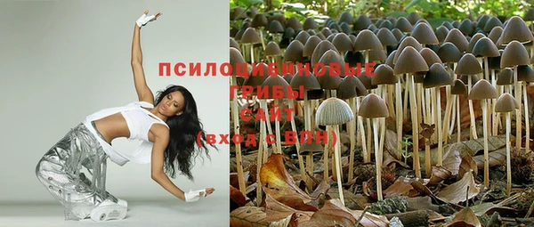 прущие крисы Бронницы