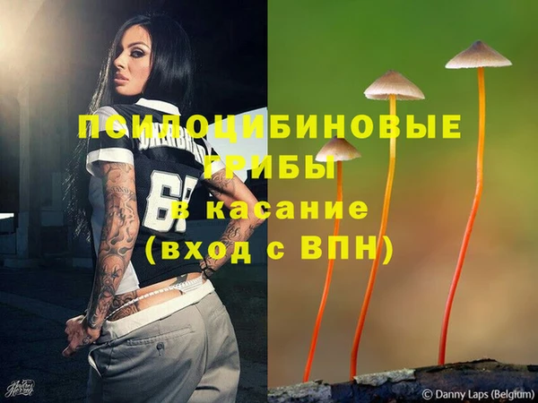 круглые Бородино