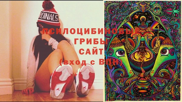 круглые Бородино