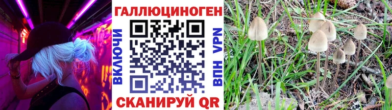 Галлюциногенные грибы Psilocybe  закладки  Игра 